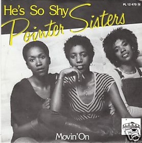 <span class="mw-page-title-main">He's So Shy</span> 1980 single by Pointer Sisters