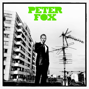 <i>Stadtaffe</i> 2008 studio album by Peter Fox