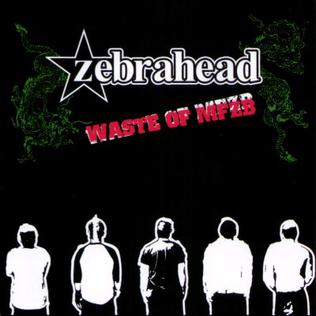 <i>Waste of MFZB</i> 2004 studio album by Zebrahead