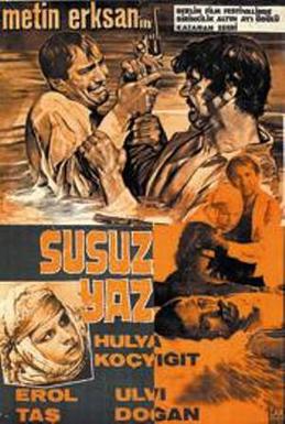 <i>Dry Summer</i> 1964 Turkish film