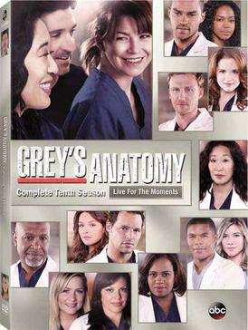 <i>Greys Anatomy</i> (season 10) Season of television series