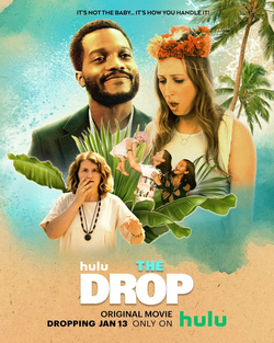 <i>The Drop</i> (2022 film) Film by Sarah Adina Smith