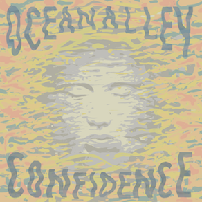 <span class="mw-page-title-main">Confidence (Ocean Alley song)</span> 2018 single by Ocean Alley