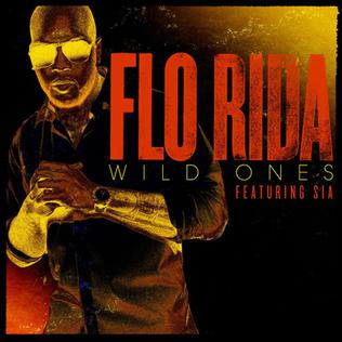 <span class="mw-page-title-main">Wild Ones (Flo Rida song)</span> 2011 single by Flo Rida