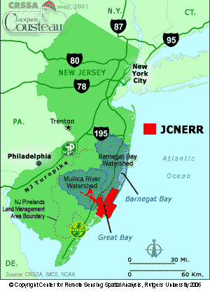 <span class="mw-page-title-main">Jacques Cousteau National Estuarine Research Reserve</span> Nature reserve in New Jersey, US