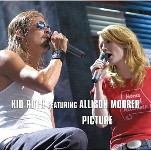 Picture (song) 2002 single by Kid Rock