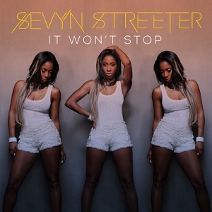 <span class="mw-page-title-main">It Won't Stop</span> 2013 single by Sevyn Streeter featuring Chris Brown