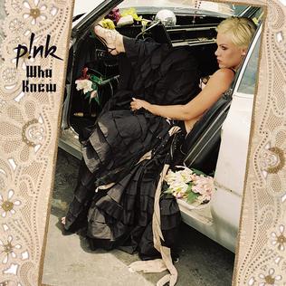 <span class="mw-page-title-main">Who Knew</span> 2006 single by Pink