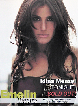 <span class="mw-page-title-main">I Stand tour</span> 2008–09 concert tour by Idina Menzel