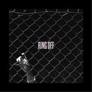 <span class="mw-page-title-main">Ring Off (song)</span> 2014 single by Beyoncé