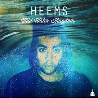 <i>Wild Water Kingdom</i> (mixtape) 2012 mixtape by Heems