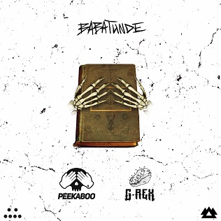 <span class="mw-page-title-main">Babatunde (song)</span> 2018 single by Peekaboo and G-Rex