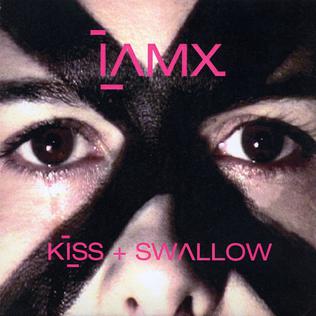 <i>Kiss + Swallow</i> 2004 studio album by IAMX