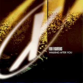 <span class="mw-page-title-main">Walking After You</span> 1998 single by Foo Fighters