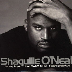 <span class="mw-page-title-main">The Way It's Goin' Down</span> 1998 single by Shaquille ONeal featuring Peter Gunz