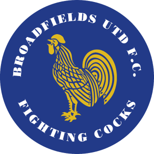 <span class="mw-page-title-main">Broadfields United F.C.</span> Association football club in England