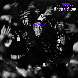 <span class="mw-page-title-main">Shotta Flow 7</span> 2023 single by NLE Choppa