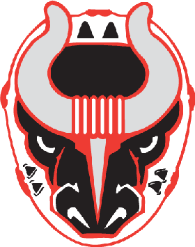 <span class="mw-page-title-main">Birmingham Bulls (SPHL)</span> American ice hockey team