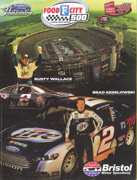 <span class="mw-page-title-main">2014 Food City 500</span> Motor car race