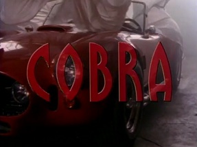 <i>Cobra</i> (American TV series) American TV series or program