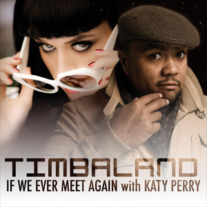 <span class="mw-page-title-main">If We Ever Meet Again</span> 2009 single by Timbaland