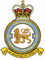 <span class="mw-page-title-main">No. 223 Squadron RAF</span> Military unit