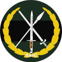 South African Army Infantry Formation Military unit