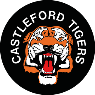 <span class="mw-page-title-main">Castleford Tigers</span> English professional rugby league football club