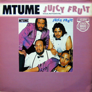 <span class="mw-page-title-main">Juicy Fruit (Mtume song)</span> 1983 single by Mtume