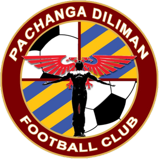 <span class="mw-page-title-main">Pachanga Diliman F.C.</span> Soccer club