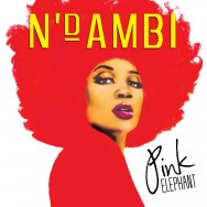 <i>Pink Elephant</i> (album) 2009 studio album by Ndambi