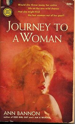 <i>Journey to a Woman</i> 1960 novel by Ann Bannon