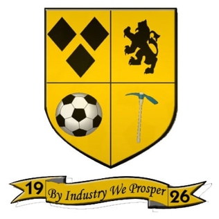 <span class="mw-page-title-main">Lochgelly Albert F.C.</span> Association football club in Lochgelly, Fife, Scotland