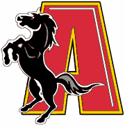 <span class="mw-page-title-main">Augusta Stallions</span> Arena football team