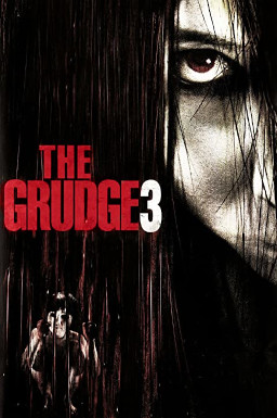 <i>The Grudge 3</i> 2009 film by Toby Wilkins