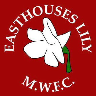 <span class="mw-page-title-main">Easthouses Lily Miners Welfare F.C.</span> Association football club in Scotland