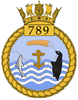 <span class="mw-page-title-main">789 Naval Air Squadron</span> Royal Navy Fleet Air Arm Squadron