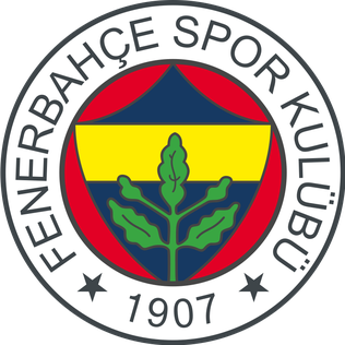 <span class="mw-page-title-main">Fenerbahçe S.K. (men's volleyball)</span>