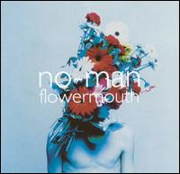 <i>Flowermouth</i> 1994 studio album by No-Man