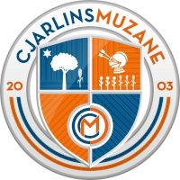 <span class="mw-page-title-main">ASD Cjarlins Muzane</span> Italian football club