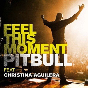 <span class="mw-page-title-main">Feel This Moment</span> 2013 single by Pitbull ft. Christina Aguilera