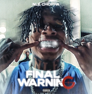 <span class="mw-page-title-main">Final Warning (NLE Choppa song)</span> Single by NLE Choppa