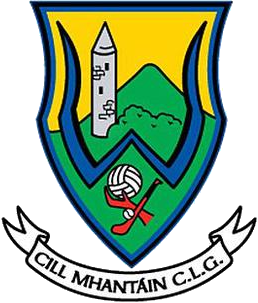 <span class="mw-page-title-main">Wicklow county football team</span> Gaelic football team