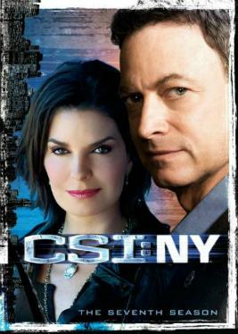 <i>CSI: NY</i> season 7 Season of television series