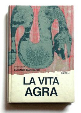 <i>La vita agra</i> 1962 novel by Luciano Bianciardi