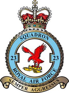 <span class="mw-page-title-main">No. 23 Squadron RAF</span> Defunct flying squadron of the Royal Air Force