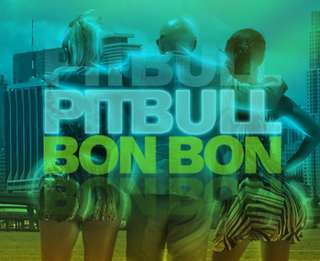 <span class="mw-page-title-main">Bon, Bon</span> 2010 single by Pitbull