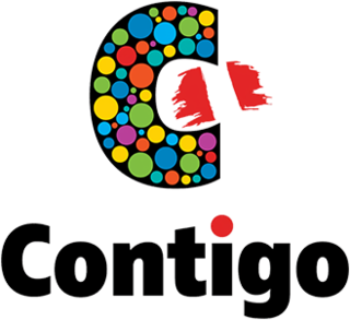 <span class="mw-page-title-main">Contigo (political party)</span> Peruvian political party