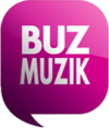 BuzMuzik logo.png