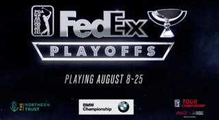 <span class="mw-page-title-main">2019 FedEx Cup Playoffs</span> Golf tournament